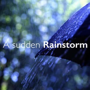 A Sudden Rainstorm - A Sudden Rainstorm