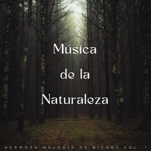 Música De La Naturaleza: Hermosa Melodía De Bichos Vol. 1 - Orquesta de la Naturaleza