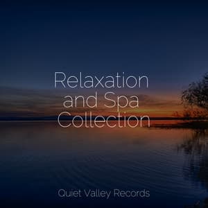 Relaxation and Spa Collection - Sleep Sounds