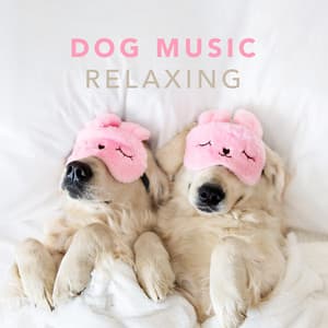 Dog Music - Relaxing Music for Dogs and Puppies - Sleepy Dogs