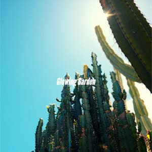 Glowing Garden - Musique Jazz Relaxante