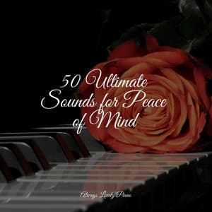 50 Calming Background Piano Songs - Relaxar Piano Musicas Coleção
