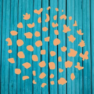 Feelings for Connected Flashbacks - Französische Cafe Musik