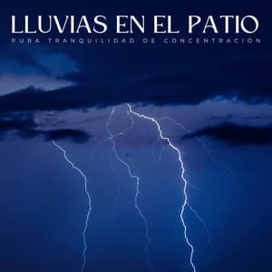 Lluvias En El Patio: Pura Tranquilidad De Concentración - Sonidos De Lluvia y Viento