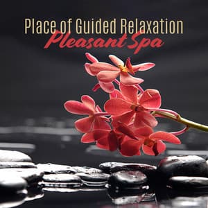 Place of Guided Relaxation - Beauty Spa Music Collection