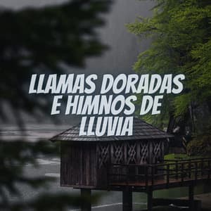 Llamas Doradas e Himnos de Lluvia - Escuela de Lluvia