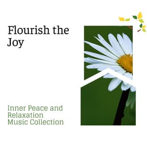 Flourish the Joy - Inner Peace and Relaxation Music Collection - Gold Spa Melodies