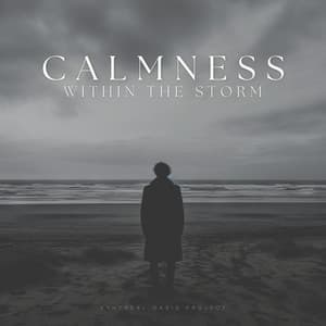 Calmness Within the Storm - Ambient