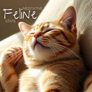 Meditative Feline State: Restorative Purr Energy, Restful Cat Breath, Purring Mindfulness - Music for Pets Library