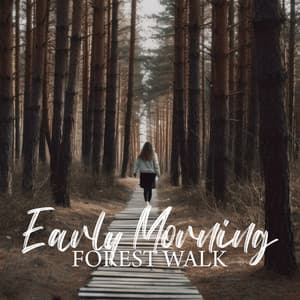 Early Morning Forest Walk: Peaceful Nature Atmosphere - Nature Sounds - Sons de la nature