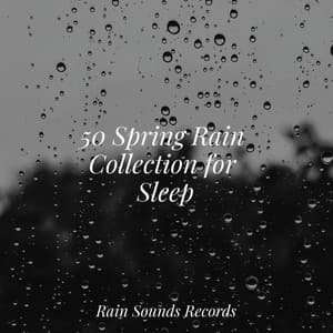 50 Spring Rain Collection for Sleep - Canciones De Cuna