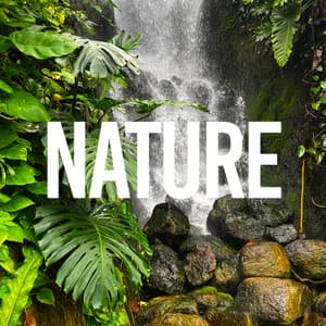 Nature - Spa Music