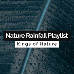 Nature Rainfall Playlist - Kings of Nature