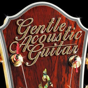 Gentle Acoustic Guitar - Guitar Songs