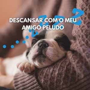 Descansar com o Meu Amigo Peludo - Música de Cachorro Calmante