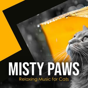 Misty Paws - Relaxing Music for Cats
