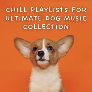Chill Playlists for Ultimate Dog Music Collection - Nature Relax