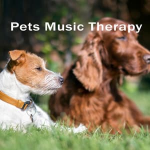 Pets Music Therapy - Soothing & Gentle Music for Pets Relaxation - Pets Music