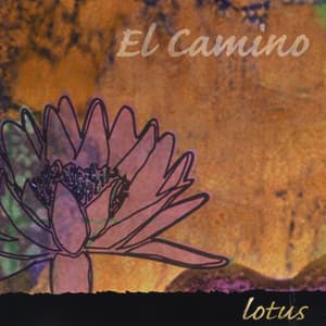 Lotus - El Camino