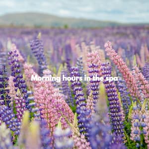 Morning hours in the spa - Cooking Background Music