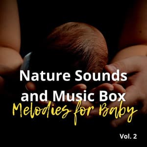 Nature Sounds and Music Box Melodies for Baby Vol. 2 - Sleeping Babies Songs
