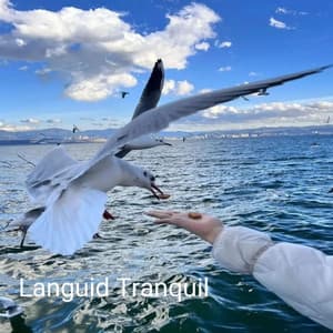 Languid Tranquil - Piano Mood