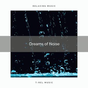 2021 Dreams of Noise - The Noise Project