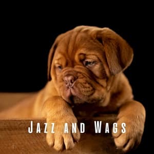 Jazz and Wags: Coffee Shop Lounge Music for Dogs - Jazz Chill Out Relaxation