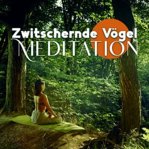 Zwitschernde Vögel Meditation: Transzendentale Entspannung, Musik für Positive Gedanken und Energie - Meditationsmusik Sammlung