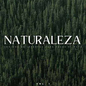 Naturaleza: Sonidos De Insectos Para Pasar El Rato Vol. 1 - Biblioteca de sonidos de la naturaleza HD