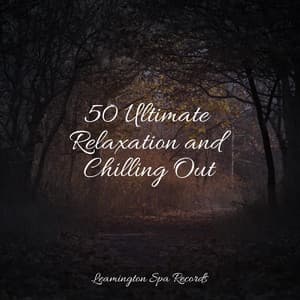 50 Ultimate Relaxation and Chilling Out - Loopable Sounds for Babies