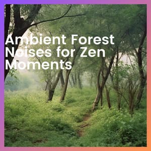Ambient Forest Noises for Zen Moments - Forest Sounds Channel
