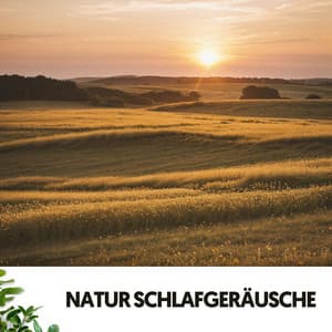 Sons de la Nature : La Symphonie de la Sérénité - Relajacion