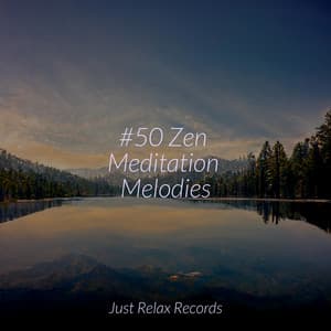 #50 Zen Meditation Melodies - Alpha Waves