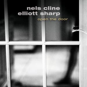 Open the Door - Nels Cline