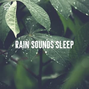 Rain Sounds Sleep - Relaxing Rain Recordings