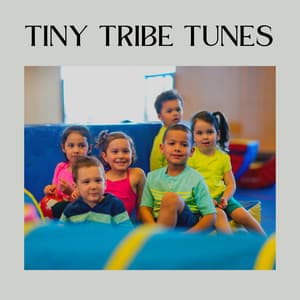 Tiny Tribe Tunes - Bedtime Baby