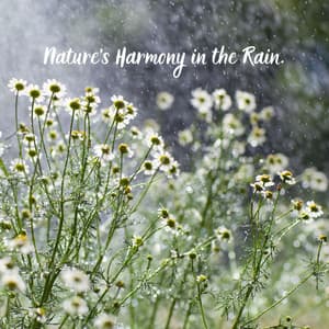 Nature's Harmony in the Rain. - Rain Palace