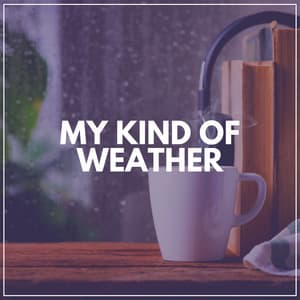 My Kind of Weather - Natsound