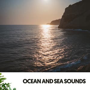 Ocean and Sea Sounds: Crash of the Blue - Solfeggio Frequencies 528Hz