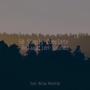 50 Simply Complete Relaxation Sounds - Best Relaxing SPA Music