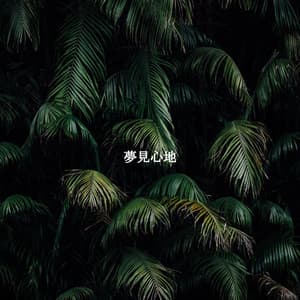 夢見心地 - Easy Jazz Listening