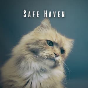 Safe Haven: Cats' Peaceful Chill Music - Polysomni
