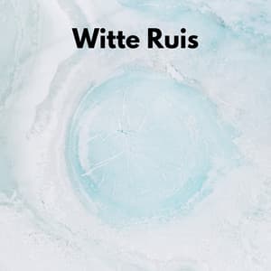 Witte Ruis - Witte Ruis om te Slaapen