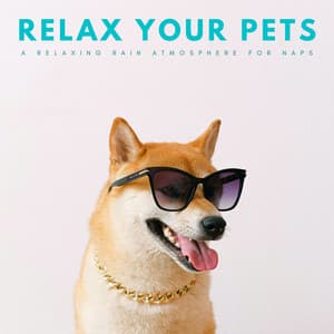 Relax Your Pets: A Relaxing Rain Atmosphere For Naps - Deep Sleep Music Company