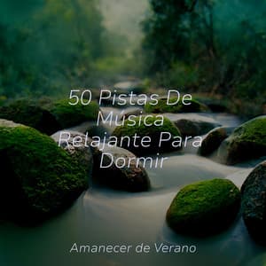 50 Pistas De Música Relajante Para Dormir - Meditation Relaxation Club