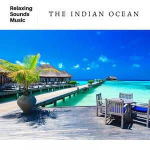 The Indian Ocean - Ocean Waves Radiance