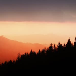 #50 50 Calming Songs for Calming Meditation - Loopable Sounds for Babies