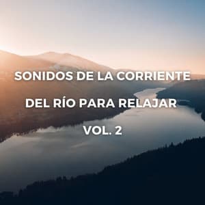 Sonidos De La Corriente Del Río Para Relajar Vol. 2 - Paisajes sonoros de roca de agua
