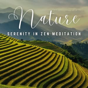 Zen Meditation Moments: Harmonious Sound Journeys - Meditative Music